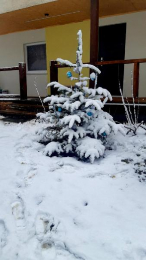 Отель Dacha PODOBOVETS 127  Подобовец